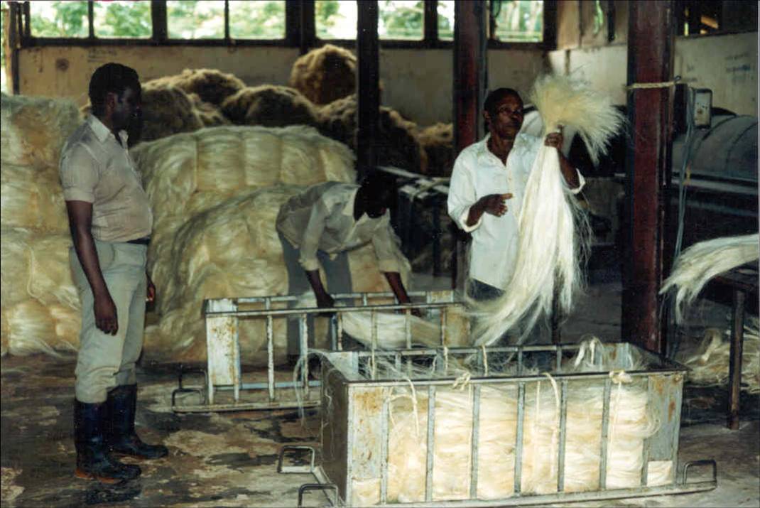 12 den tørrede fiber